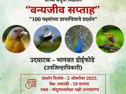 Photography Exhibition